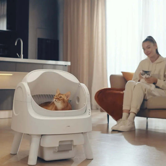 Petpivot Autoscooper 11 Open-Top Self-Cleaning Cat Litter Box,Odor-Free Waste Disposal Includes Trash Bags Summervibes Petlovers