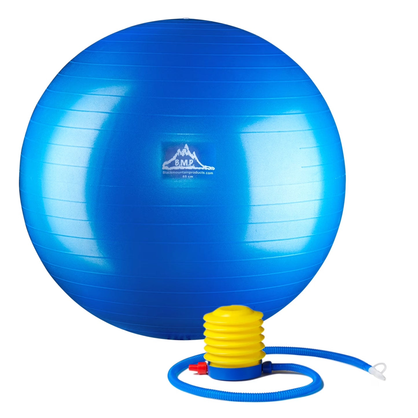 Professional Grade Stability Ball, 75Cm Purple