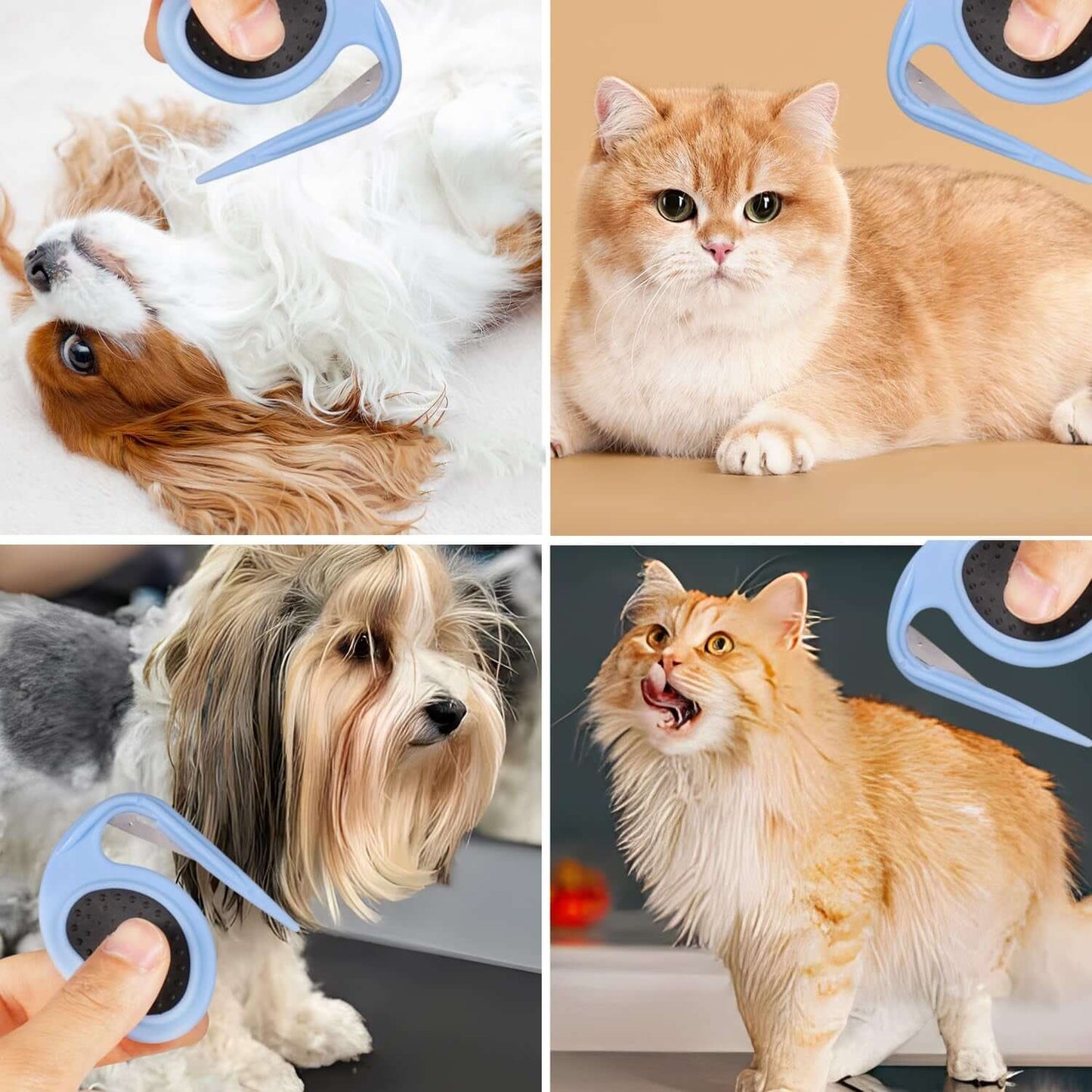 2Pcs Knotting Comb for Cats, Dog Shedding Brush Dematting Comb Hair Removal Tool for Knotted & Loose Hair Grooming Accessories for Pet Kitten Puppy (Blue)
