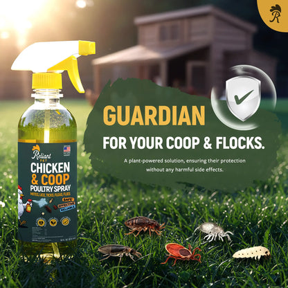 Reliant Pet Chicken & Coop Poultry Spray for Mites,Lice,Ticks,Fleas and Flies - Safe for Use on Chickens and No Egg Removal Needed - Sale - Mother'S Day Sale - Father'S Day Sale