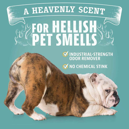 Pet Odor Eliminator for Dog and Cat Urine, Carpet Stains, and Strong Smells – NEW Orange Rush Scent – Citrus Cleaner with Natural Orange Oil – 24 Oz