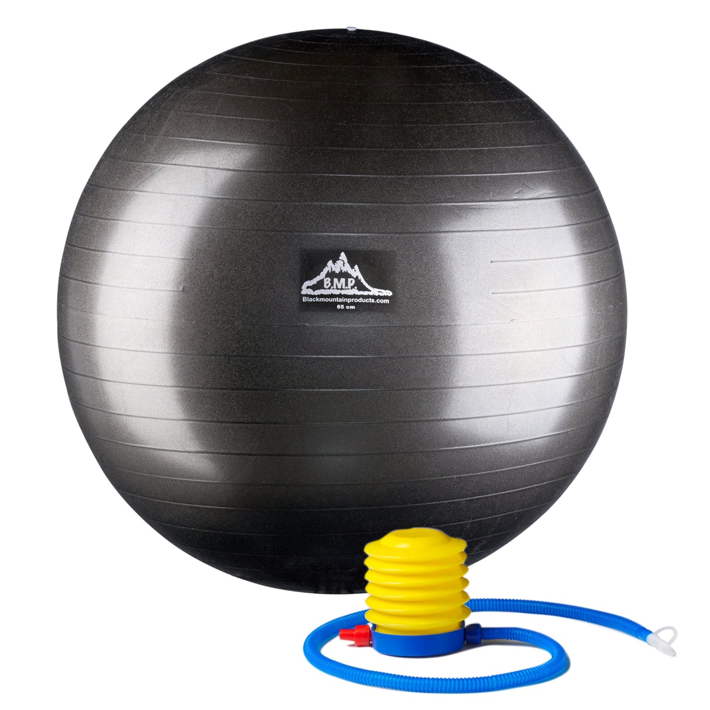 Professional Grade Stability Ball, 75Cm Purple