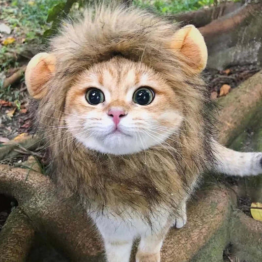 Cute Lion Mane Cat Wig Hat Pet Hat for Dogs Cats Kitten Cap 2026 New Year Party Cosplay Costume Cat Accessories Photo Props