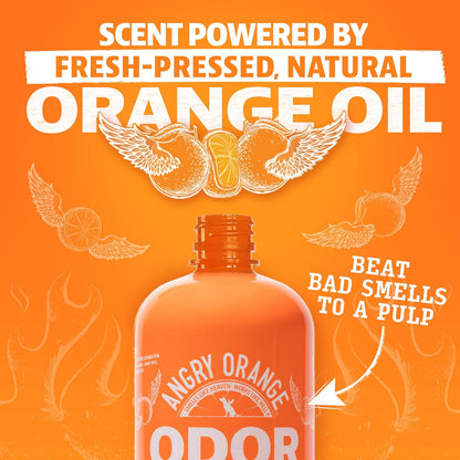 Pet Odor Eliminator for Dog and Cat Urine, Carpet Stains, and Strong Smells – NEW Orange Rush Scent – Citrus Cleaner with Natural Orange Oil – 24 Oz