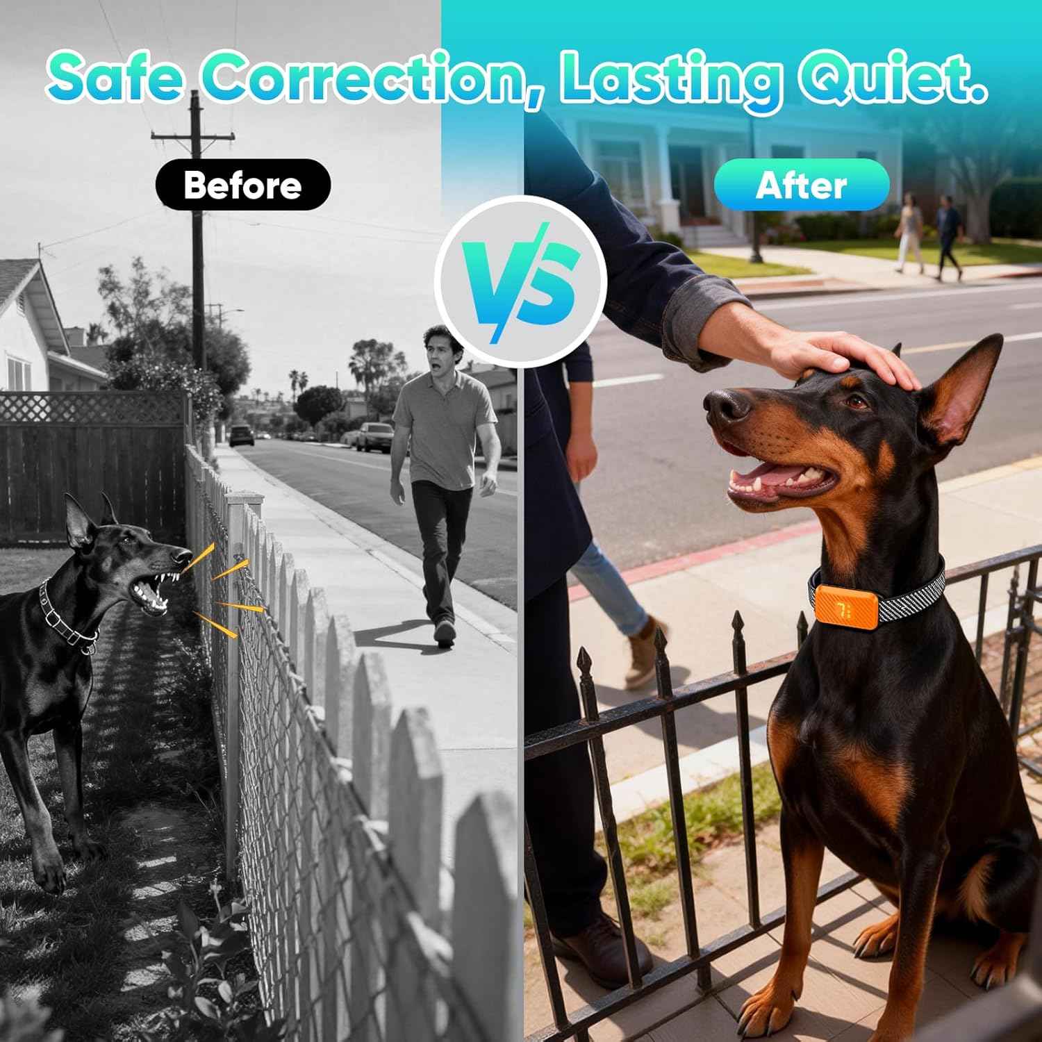 Rechargeable Bark Collar | 7 Sensitivity Levels