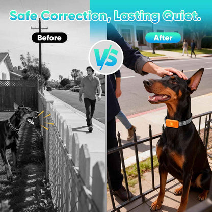 Rechargeable Bark Collar | 7 Sensitivity Levels