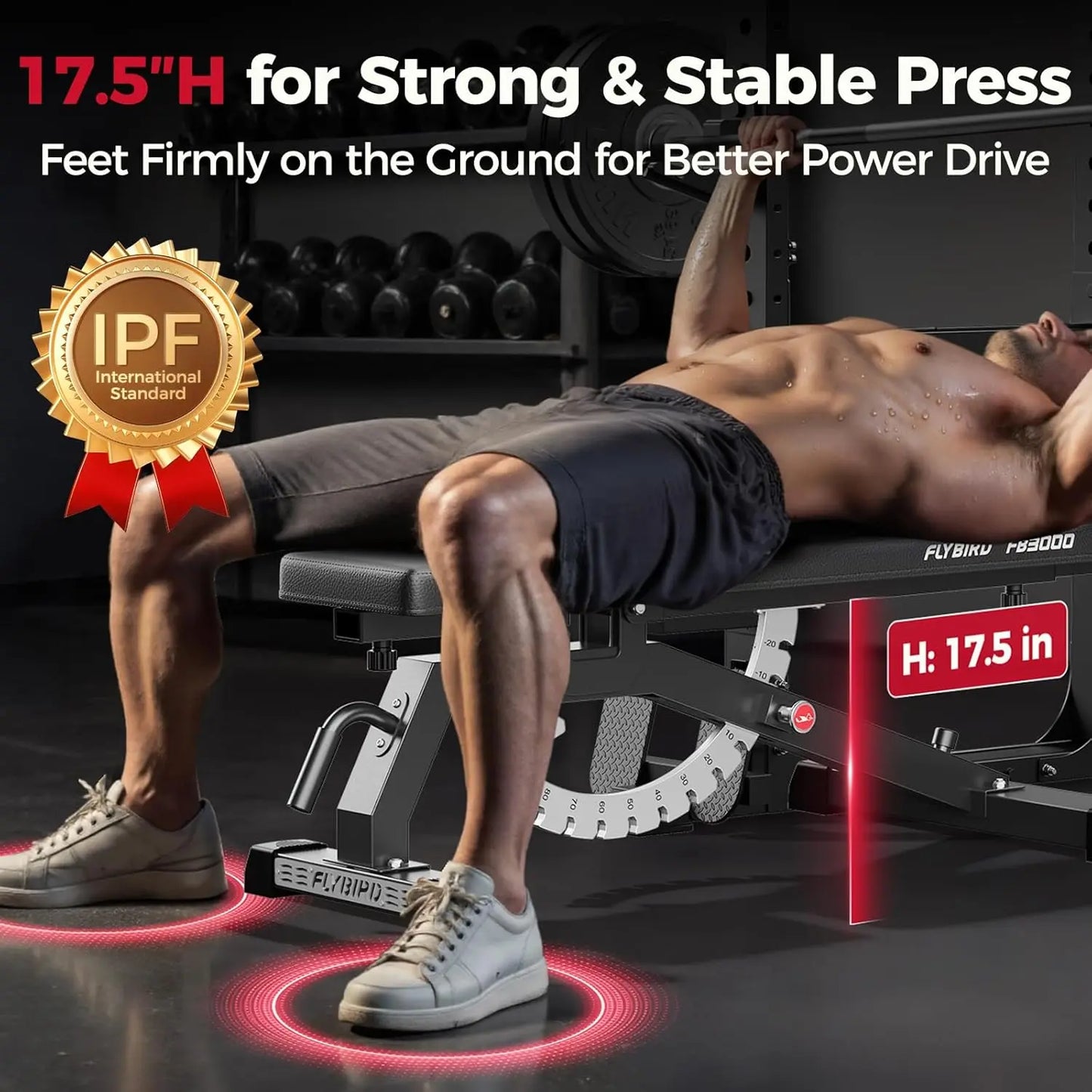 FED Fitness Flybird Series WB8 Weight Bench, Adjustable Weight Bench Can Be Folded for Storage/Vertical Storage, Space-Saving Workout Bench
