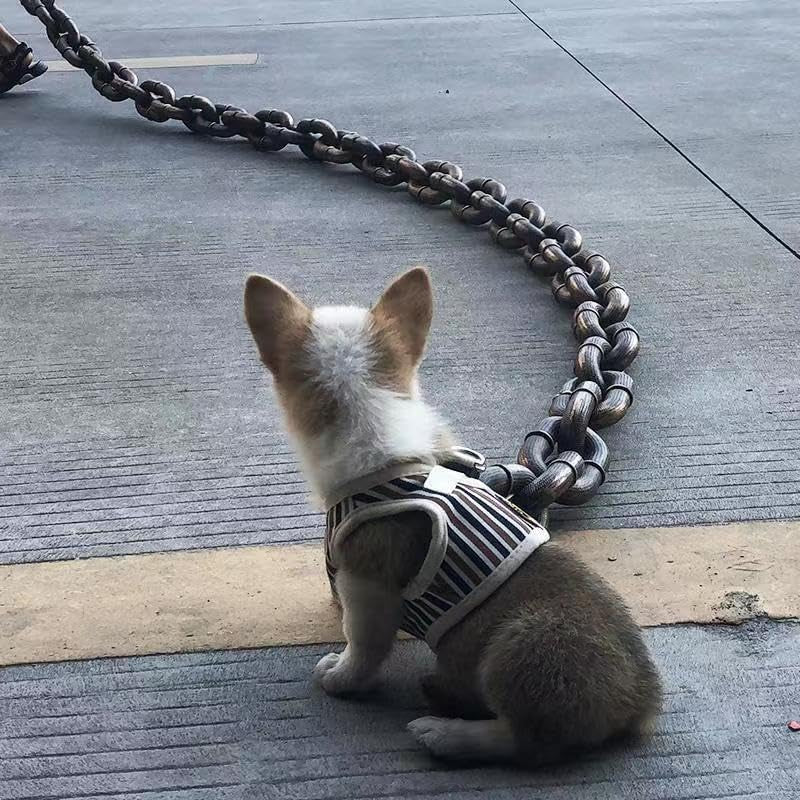 Big Dog Chain Leash, Funny Dog Leash, Plastic Material, Imitates Iron Chains, 75" Long, Chihuahua Teddy Poodle Papillon 1Pc (Silvery)
