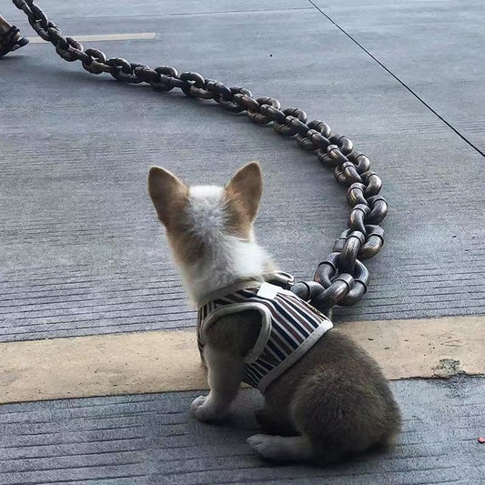 Big Dog Chain Leash, Funny Dog Leash, Plastic Material, Imitates Iron Chains, 75" Long, Chihuahua Teddy Poodle Papillon 1Pc (Silvery)