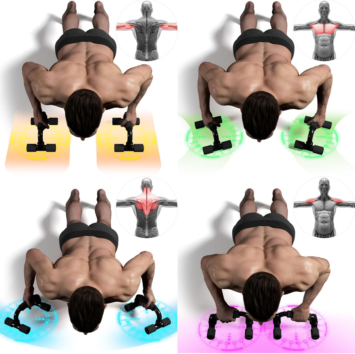Push up Bars Gym Exercise Equipment Fitness 1 Pair Pushup Handles with Cushioned Foam Grip and Non-Slip Sturdy Structure Push up Bars for Men & Women
