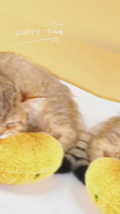 Hypoallergenic plush pet pillow