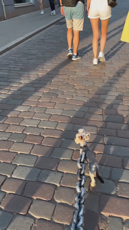 Funny dog leash for small breeds