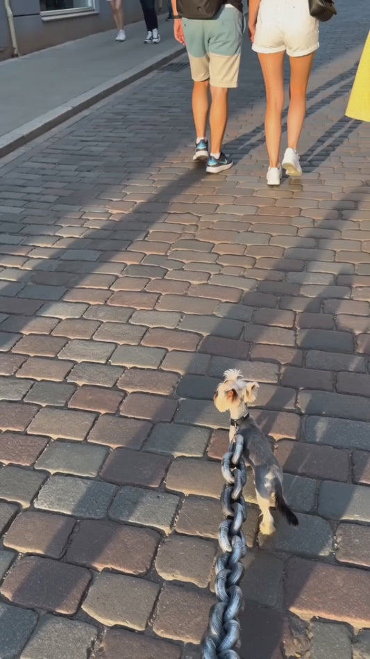 Funny dog leash for small breeds