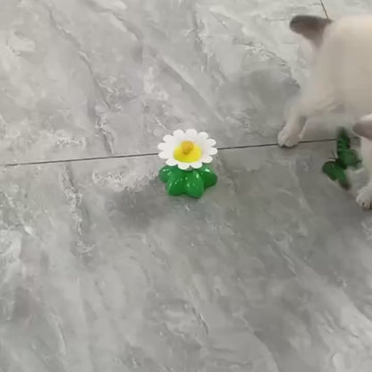 Interactive cat toy flying bird