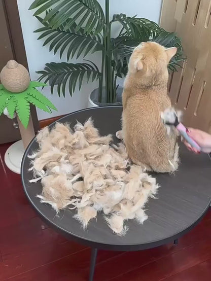Pet detangling comb for dogs and cats