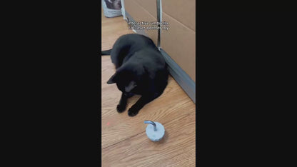 Automatic laser cat toy