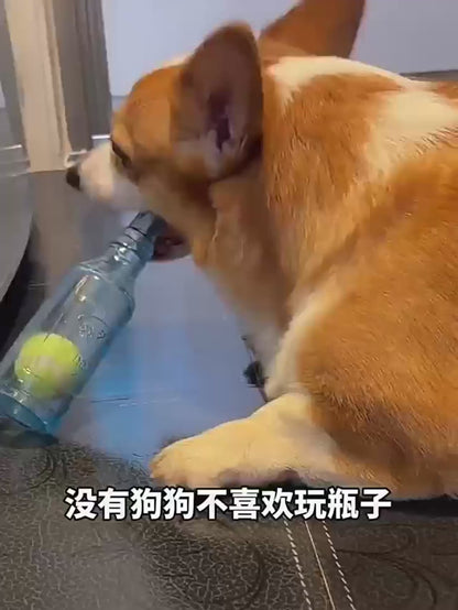 Squeaky dog ball toy