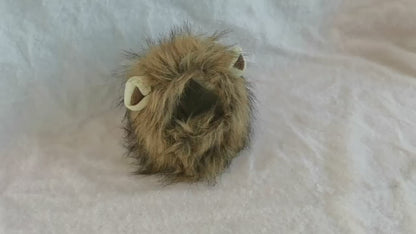 Lion mane pet hat