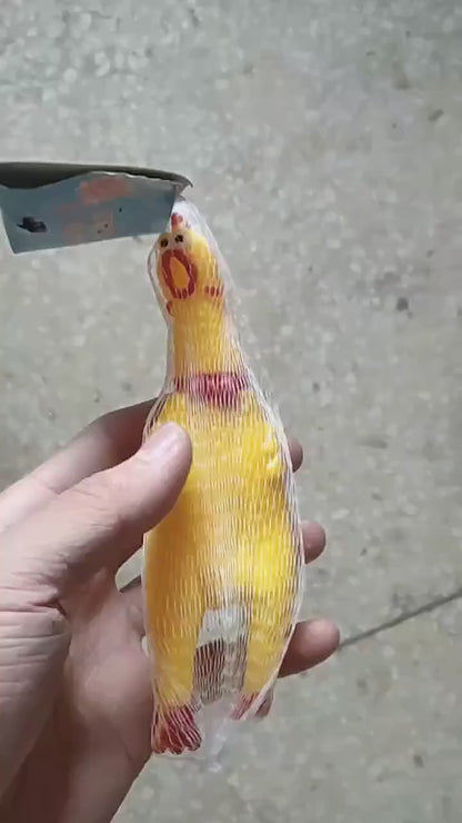 Squeaky rubber chicken dog toy